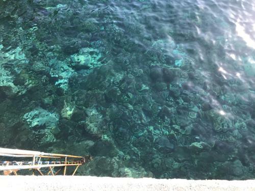 Apartamento Penthouse Canico Mar