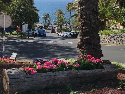 Apartamento Penthouse Canico Mar
