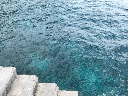 Apartamento Penthouse Canico Mar