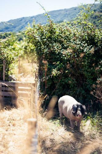 Agroturismo Reitoral De Chandrexa