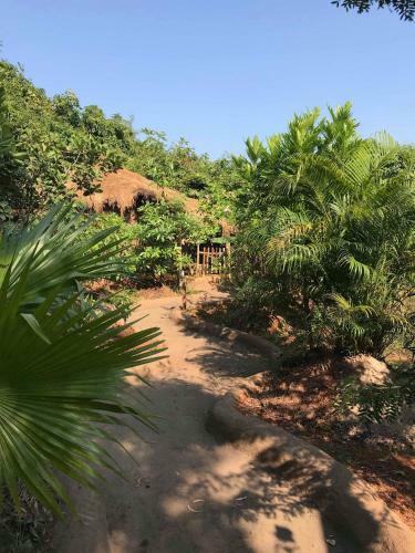 Hotel Banyan Tree Yoga