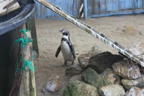 Agroturismo Finca Hoster�a Bella Aurora