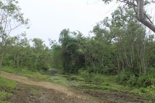 Agroturismo Finca Hoster�a Bella Aurora
