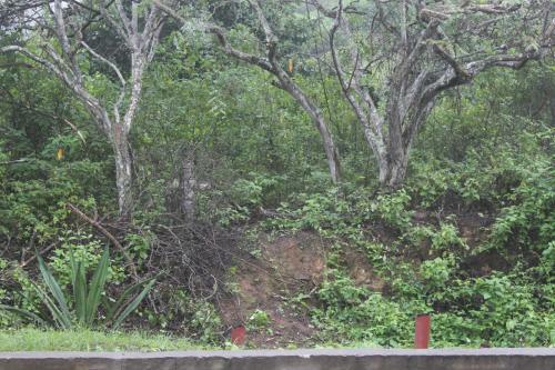 Agroturismo Finca Hoster�a Bella Aurora