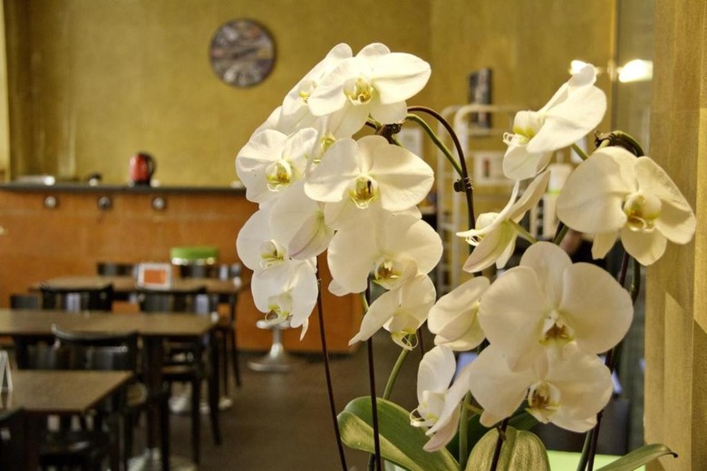 Hotel Le Vintage Gare Du Nord