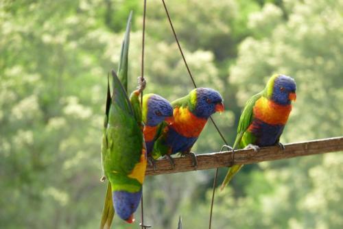 Agroturismo Bellthorpe Stays