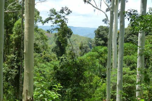 Agroturismo Bellthorpe Stays