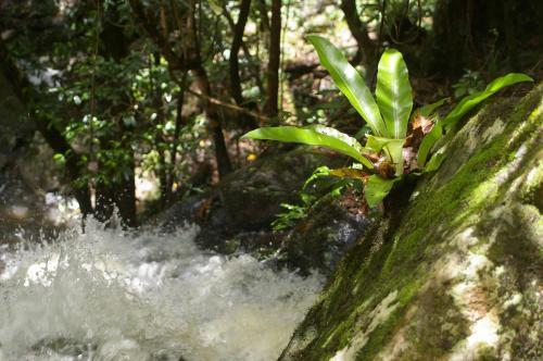 Agroturismo Bellthorpe Stays