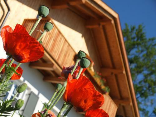 Apartamento Haus Schlernblick