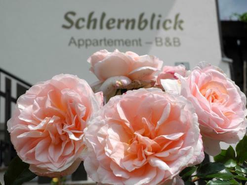 Apartamento Haus Schlernblick