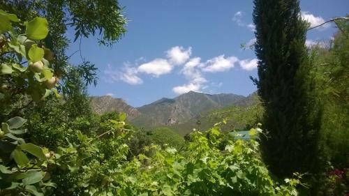 Hostal Malherbe Guesthouse