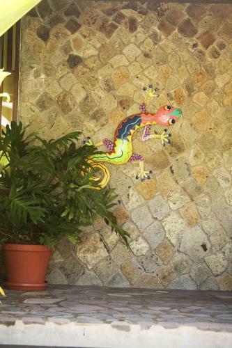 Hotel Spring House Bequia