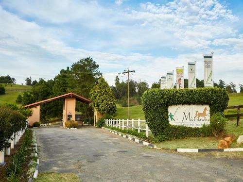 Hotel Midlands Saddle And Trout