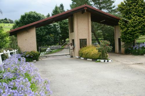 Hotel Midlands Saddle And Trout