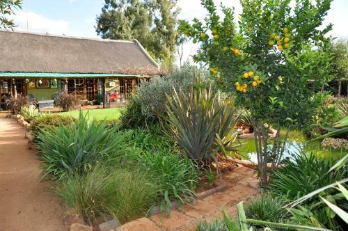 Hostal Blou Windpomp Guest Lodge