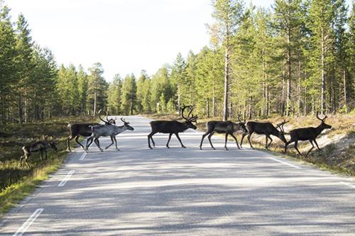 Agroturismo Vestre Sorken Feriegard