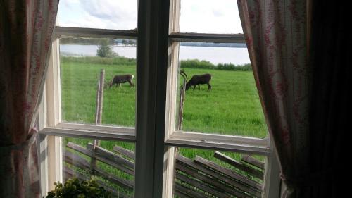 Agroturismo Vestre Sorken Feriegard
