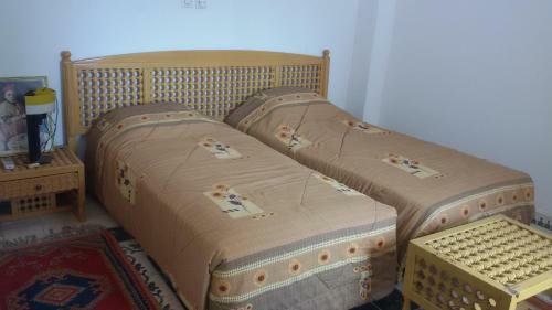 Riad Freija