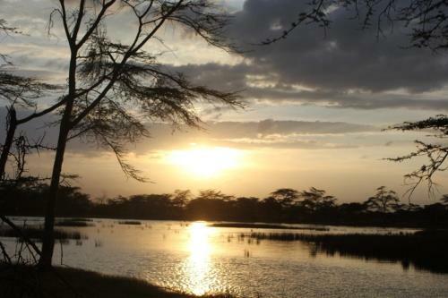 Lodge Oasis Eco Camp