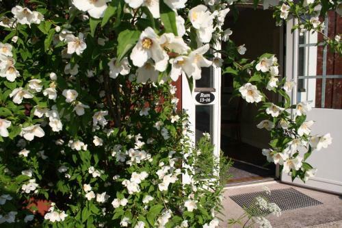Stf Stora Fr�g�rden Hostel