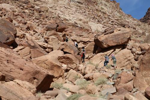 The Bedouin Meditation Camp