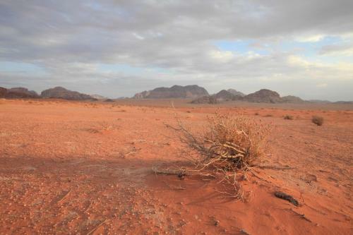 The Bedouin Meditation Camp