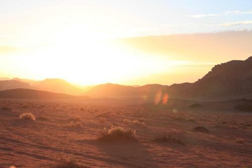 The Bedouin Meditation Camp
