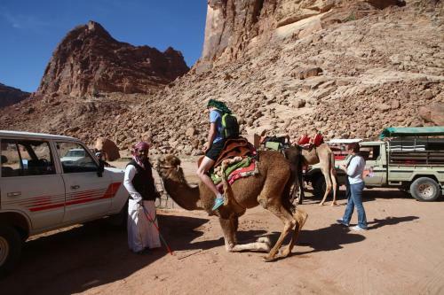 The Bedouin Meditation Camp