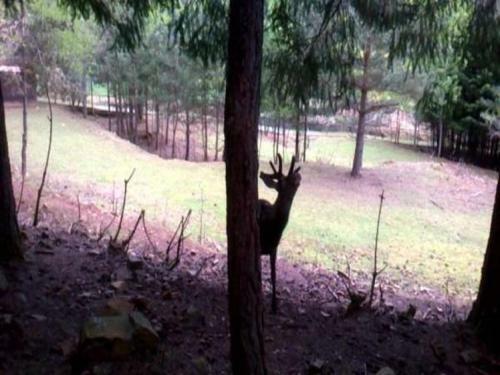 Parque Biologico De Vinhais
