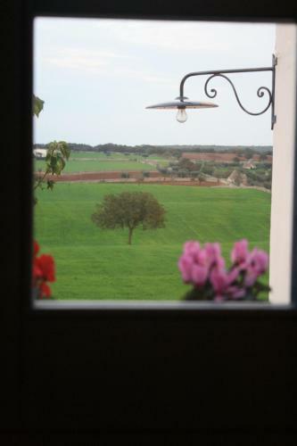 Bed & Breakfast Trulli Gallo Rosso
