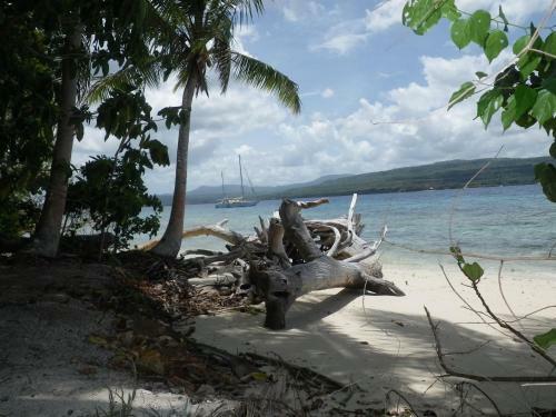 Hotel Tranquility Island Resort