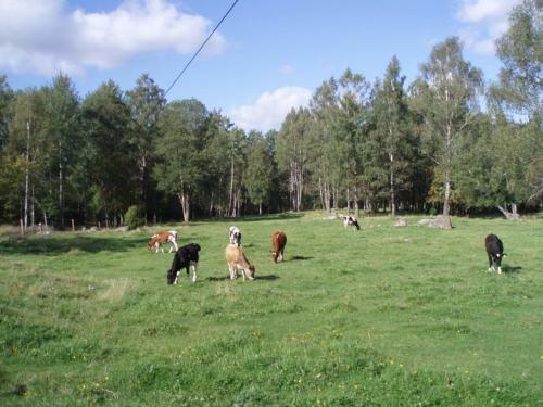 Agroturismo Stuga Linnebr�ten