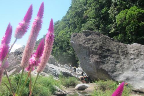 Omega Tours Eco-jungle Lodge