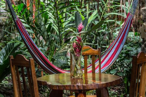 Omega Tours Eco-jungle Lodge