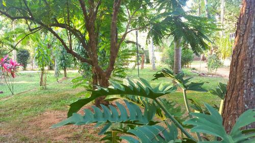 Hotel Soba Lanka Holiday Resort