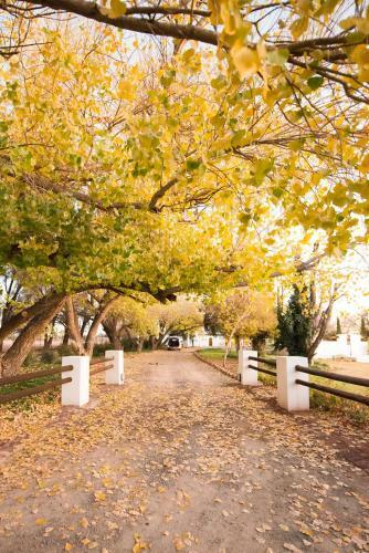 Agroturismo New Holme Karoo Guest Farm