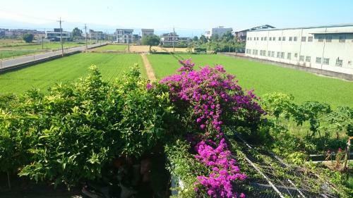Yilan Real Fun Homestay