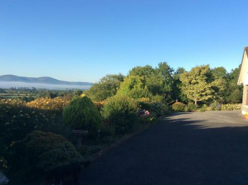 Bed & Breakfast Hollymount House