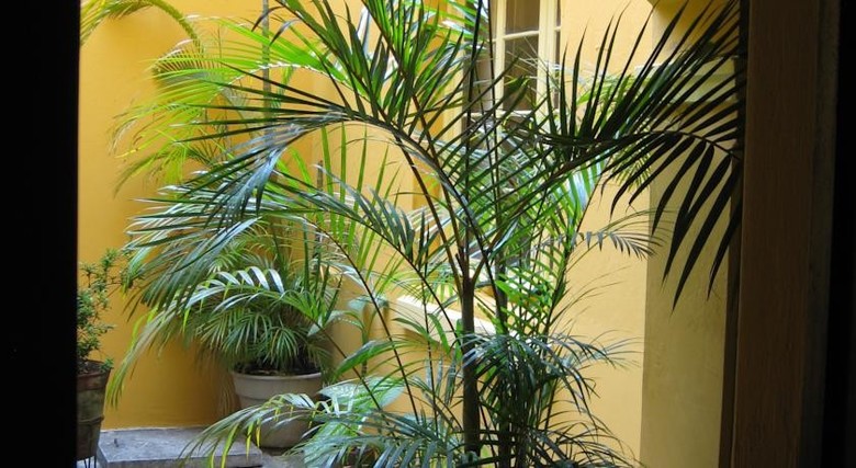 Casa Carmel Bed & Breakfast