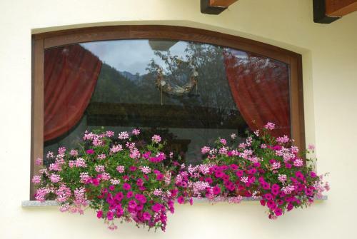 Villa Residence Les Nigritelles