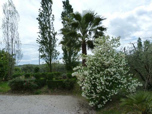 Agroturismo Agriturismo B&B La Sterpina