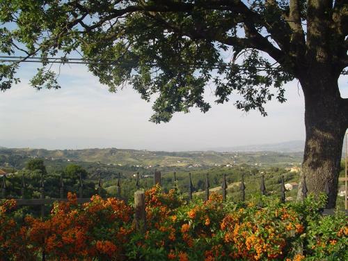 Agroturismo Albergo Arinde