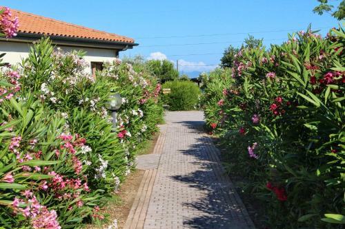 Hostal Agriturismo Gli Etruschi