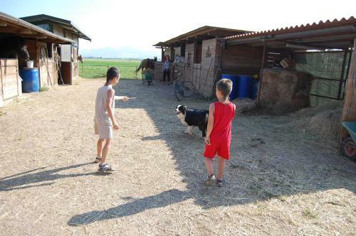 Hostal Agriturismo Gli Etruschi