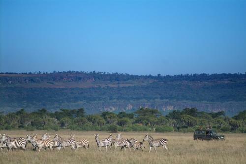 Lodge Mbweha Camp - Lake Nakuru
