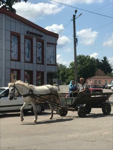 Agroturismo Khutorok Svergio