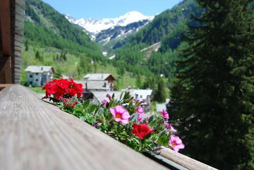Hostal Residence Larice Bianco