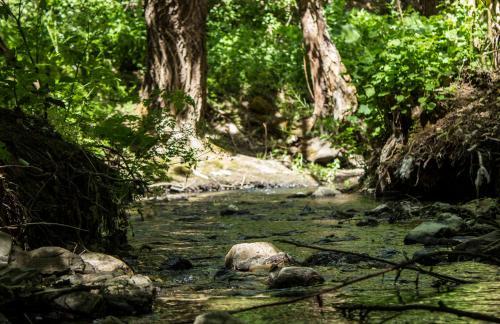 Agroturismo Il Sogno Di Renato