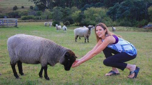 Bed & Breakfast Ashdowns Of Dover