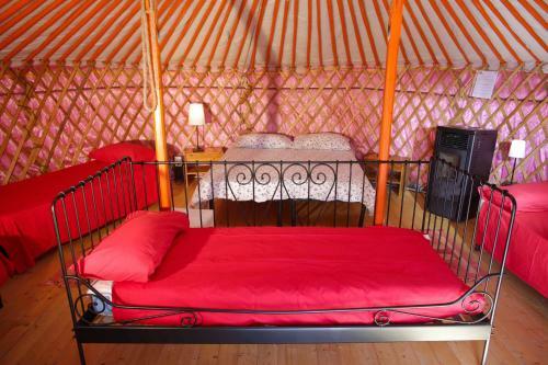 Agroturismo Societ� Agricola Cacigolara